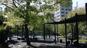 坂本町公園の朝
